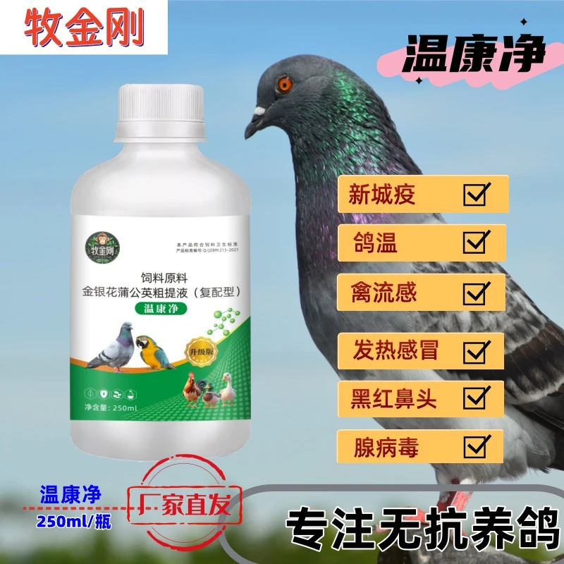 温康净新城感冒鸽瘟黑红鼻头禽流感腺病毒种鸽赛鸽肉鸽鸟禽用