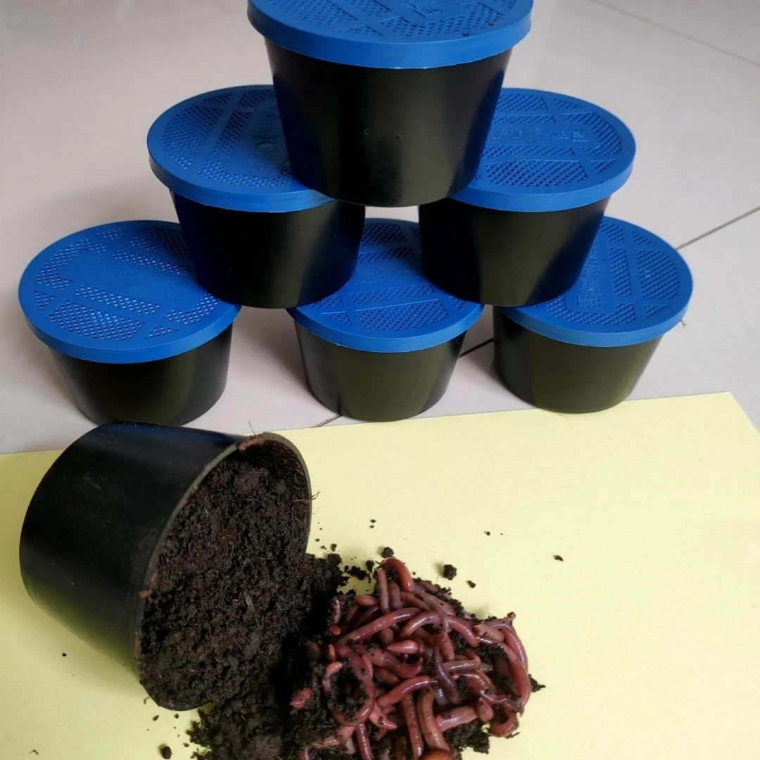 鲜活蚯蚓活饵鲜活垂钓鱼饵料鲫鱼鲤鱼野钓黑坑鱼料打窝料鱼食通杀