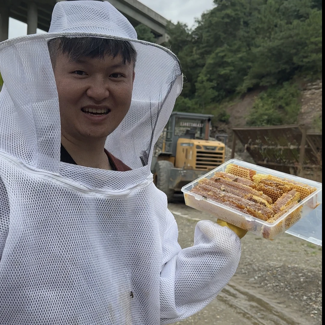 云南高山百花蜂巢蜜满满一大盒嚼着吃土蜂蜜一年取一次