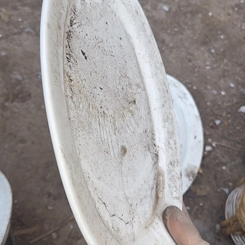 瓷片国营厂库存微瑕26-28厘米