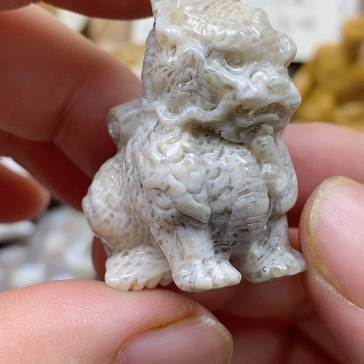 颈饰未镶嵌硅化珊瑚（珊瑚玉）