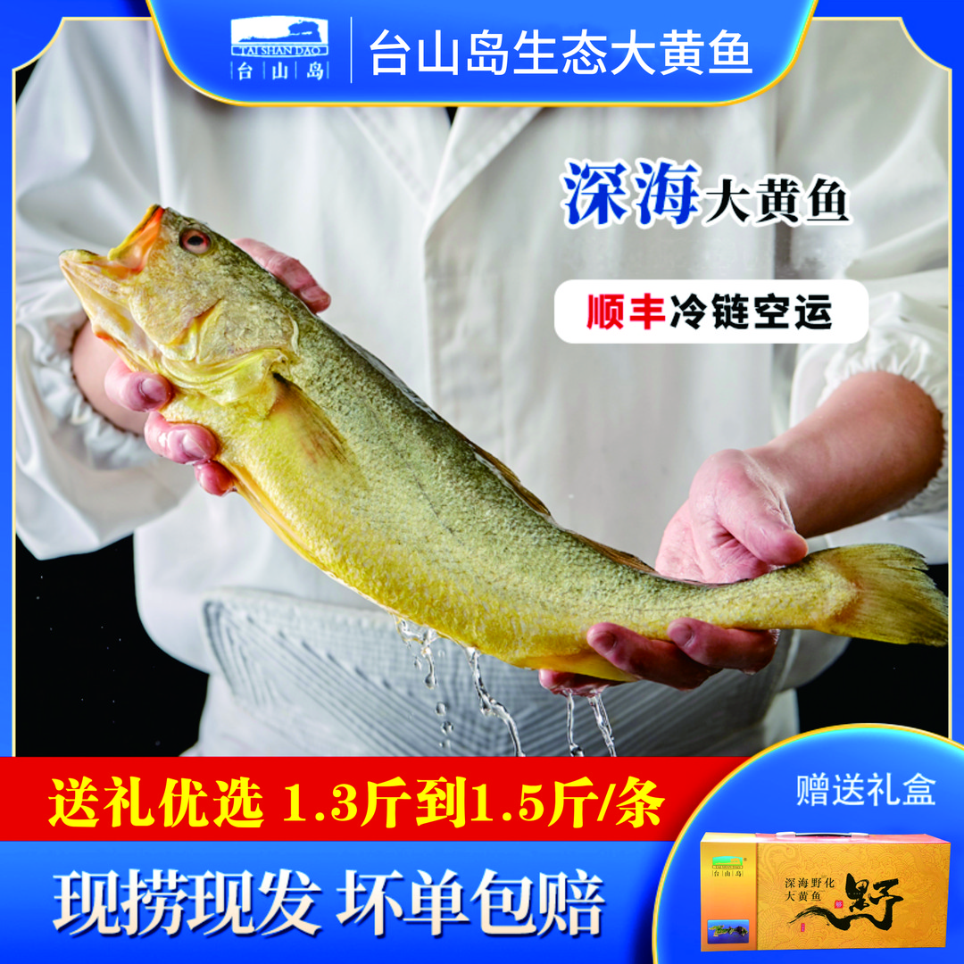 【1.3斤-1.5斤/条】新鲜台山岛海捕现捞现发黄花鱼鲜冻海鲜