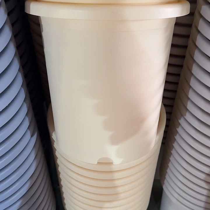 四季7号米黄无托6个特价微瑕