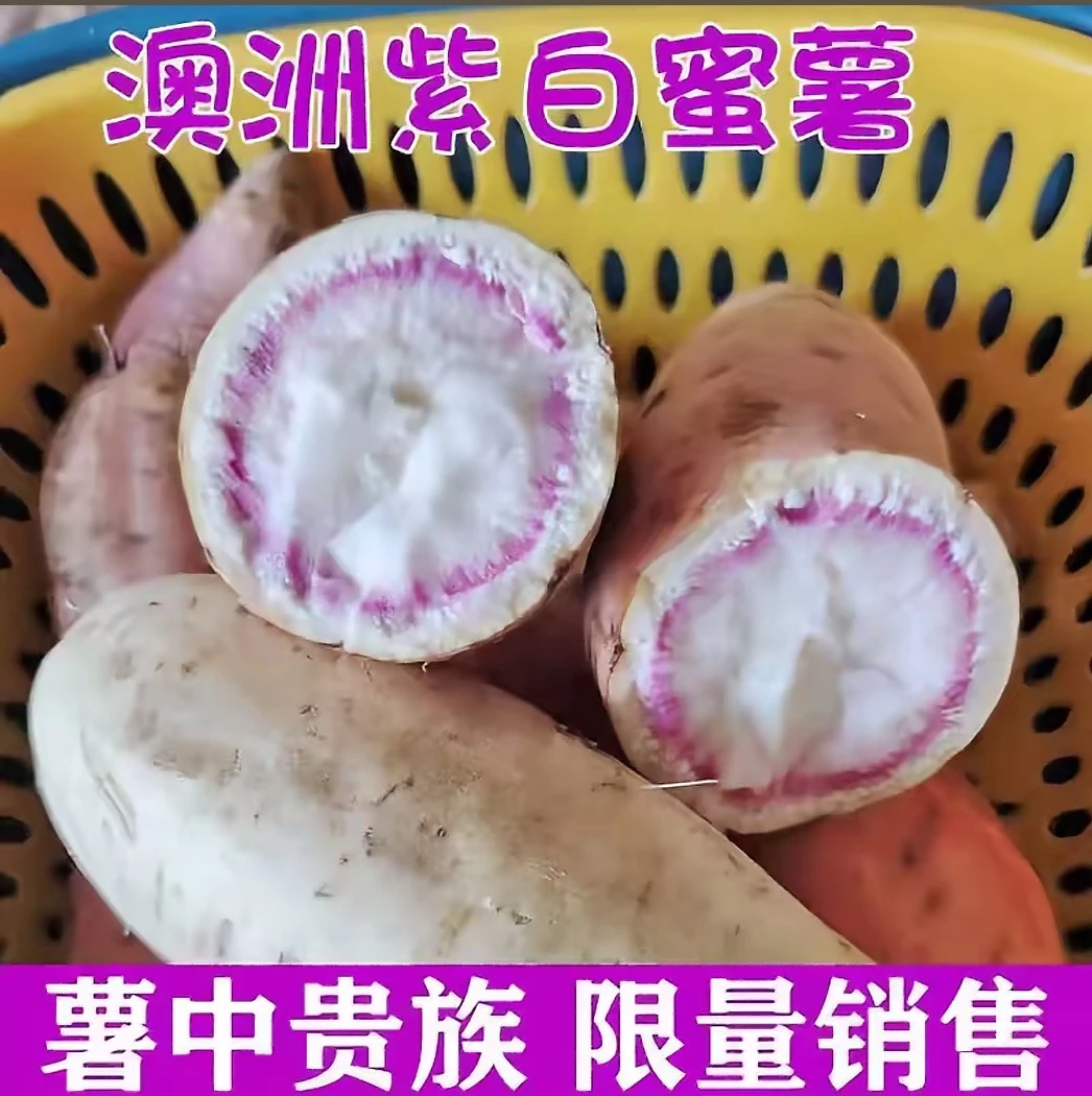 澳洲紫白红薯山东蜜薯白心地瓜冰淇凌薯农家自种现挖现发软糯香甜