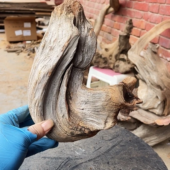 独***见柏木崖壁崖柏香料