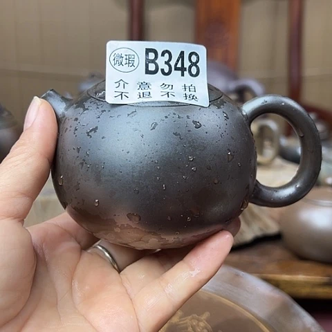 戬谷龙窑柴烧茶壶348