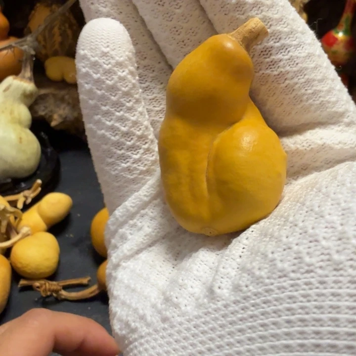 冲***啊76666666666666666