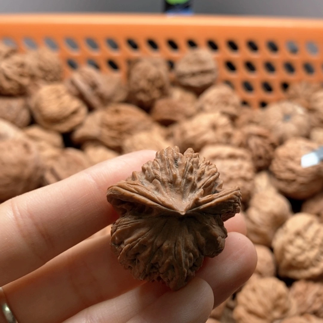 逻***辑核桃定制商品不退不换