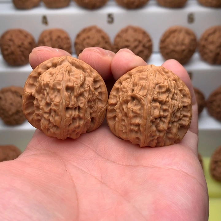 把件文玩核桃36白狮子