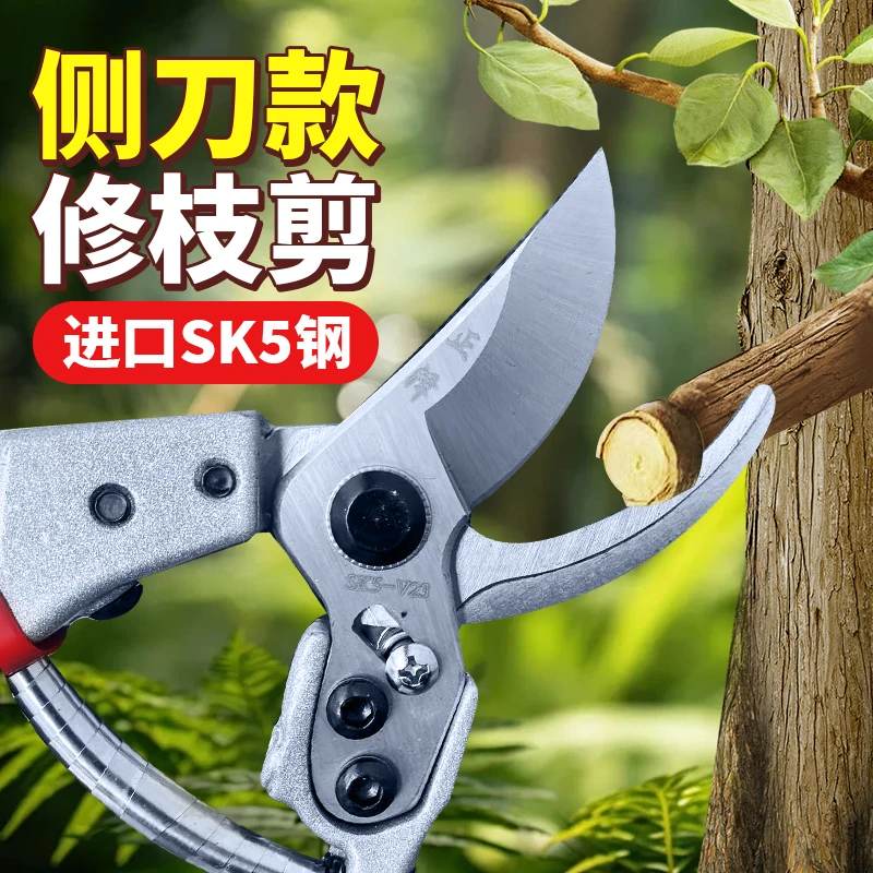 进口SK5钢修枝剪园艺剪刀盆景剪刀树枝剪剪树枝省力剪剪花花园剪