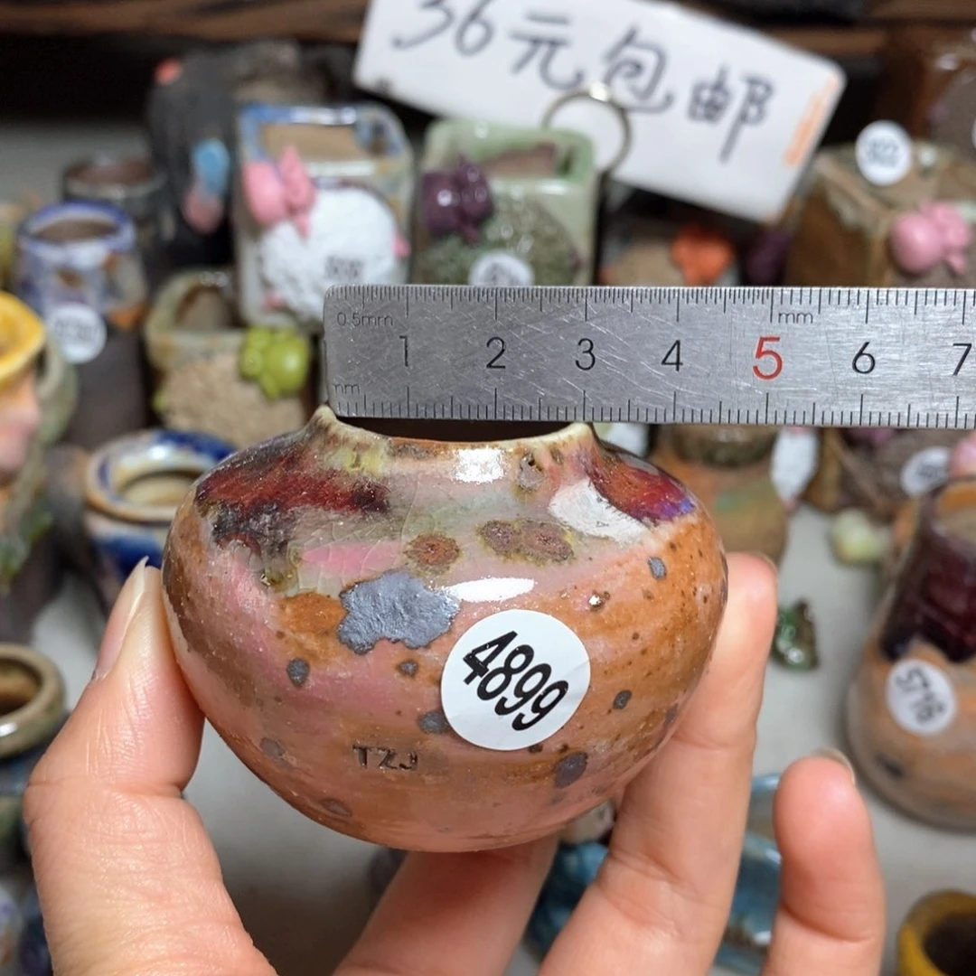 拍5送一个小礼物