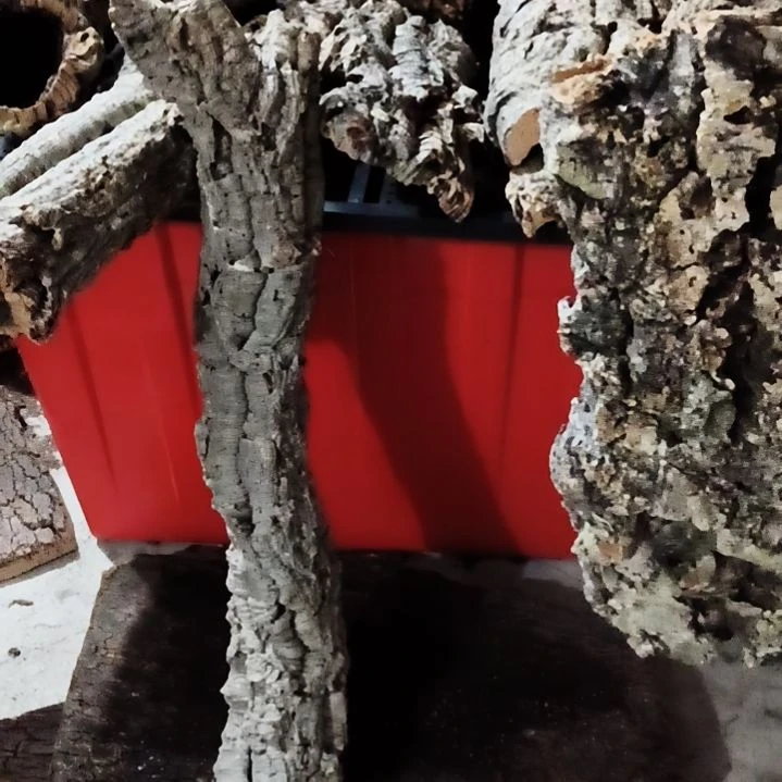 里***食一物一拍一物一发