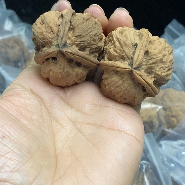 木质类云南铁核桃基地71