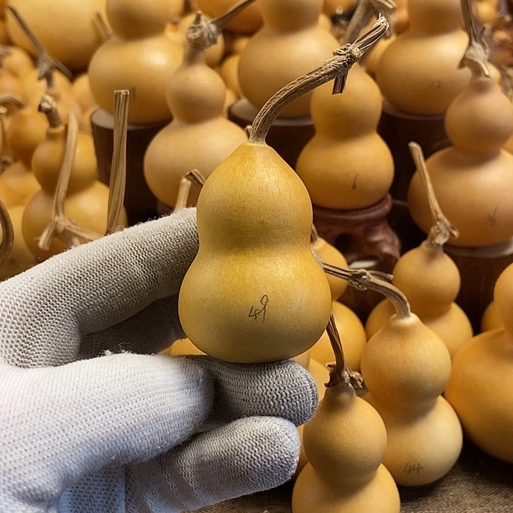 文玩葫芦 完美主义者 慎拍49