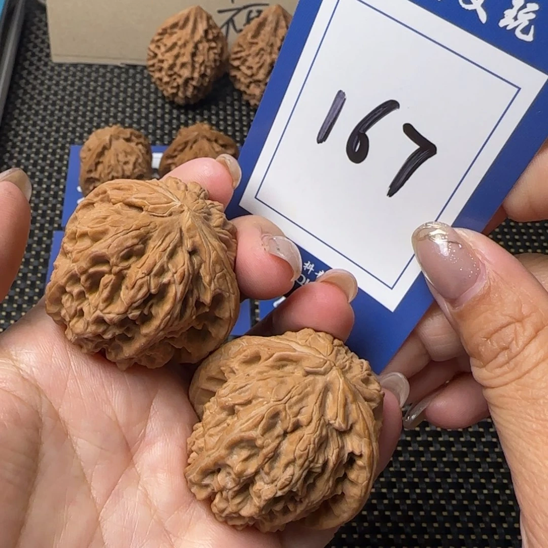 把件文玩核桃全品白狮子41尺  167号