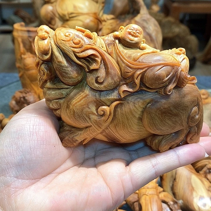 柏木（崖柏）太行崖柏