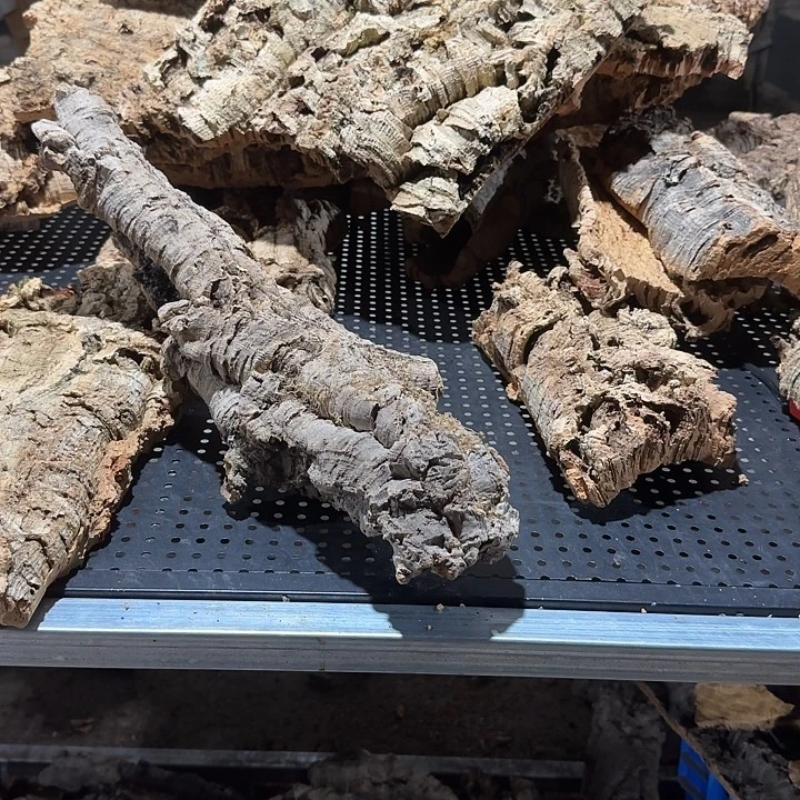 我***巴无花朵一物一拍一物一发