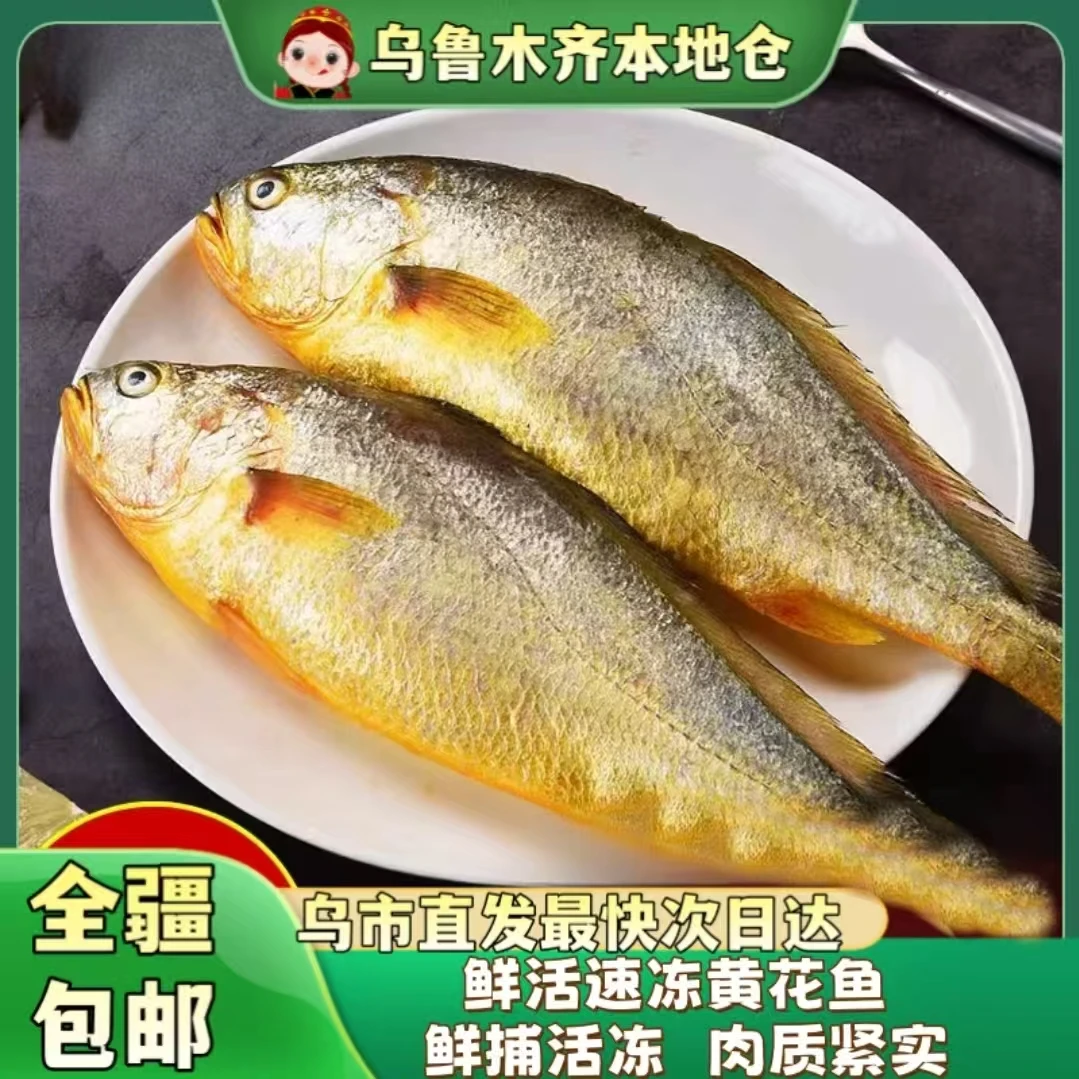 【新疆包邮】精选深海黄花鱼海鲜鲜活新鲜深海黄鱼450g/条次日达
