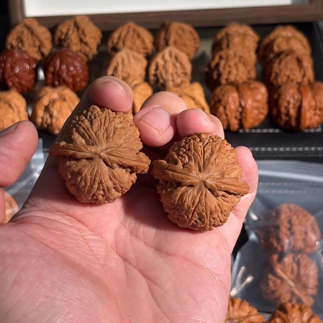 核桃手串/手链40全品球白 不退换