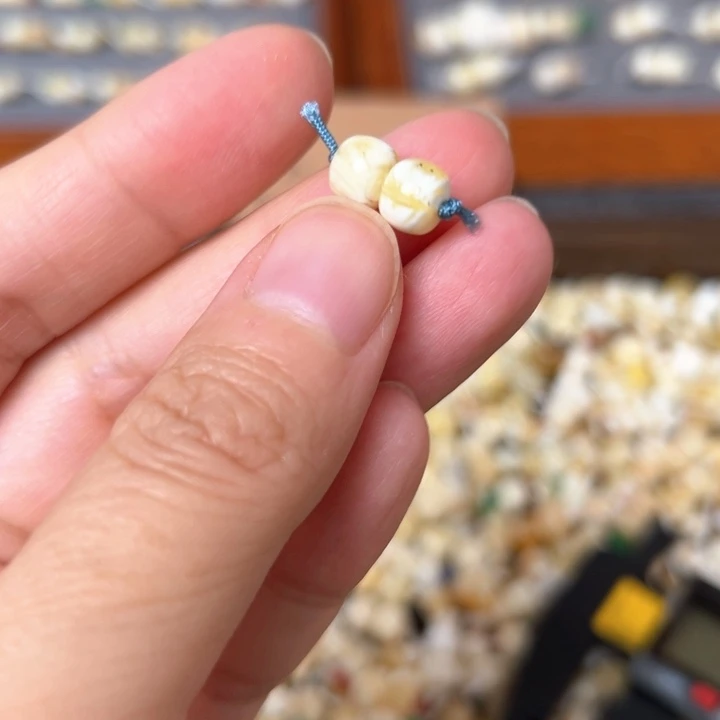 蜜蜡未镶嵌裸石6.8mm一对