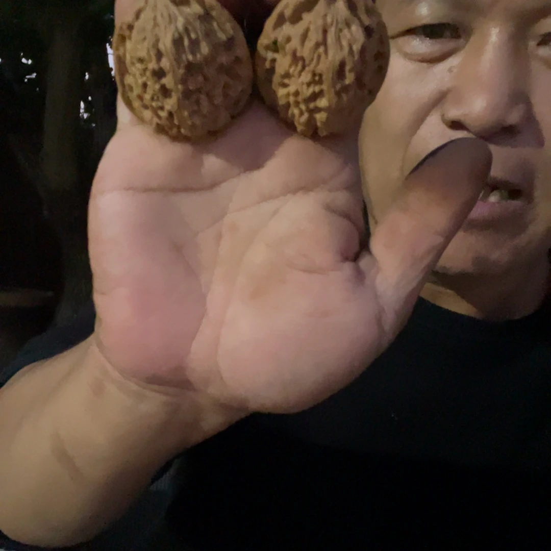胡***6吊坠文玩核桃南疆42