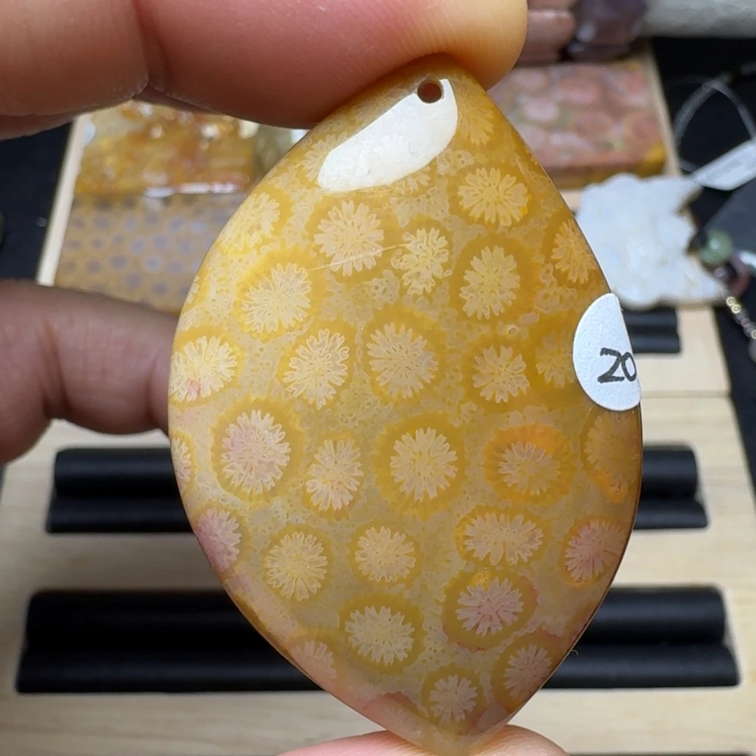 未镶嵌纯天然色有机玉石保真色硅化玉