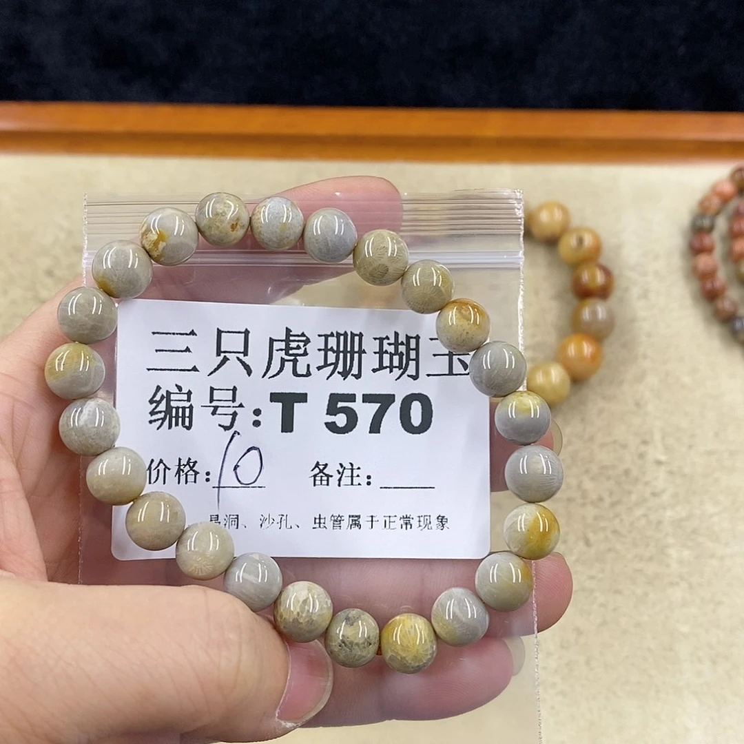 硅化珊瑚（珊瑚玉）1未镶嵌好****肉