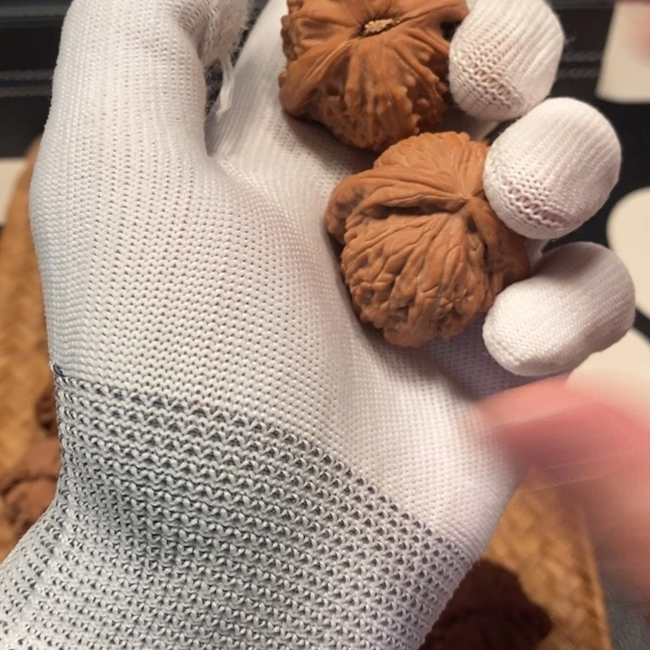 江***@38 尺寸白狮子）））