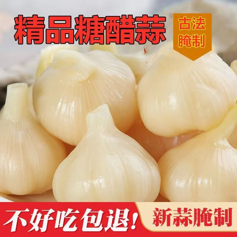 山东新鲜糖醋蒜净重新蒜大蒜头厂家直销酱菜批发
