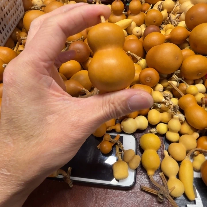 期*z期待的一把瓶子葫芦