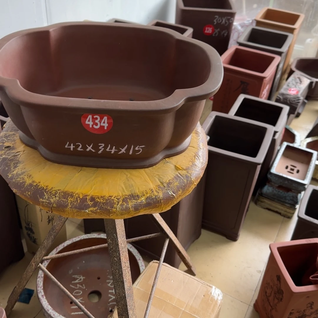 紫砂花盆呜呜呜我的小可爱