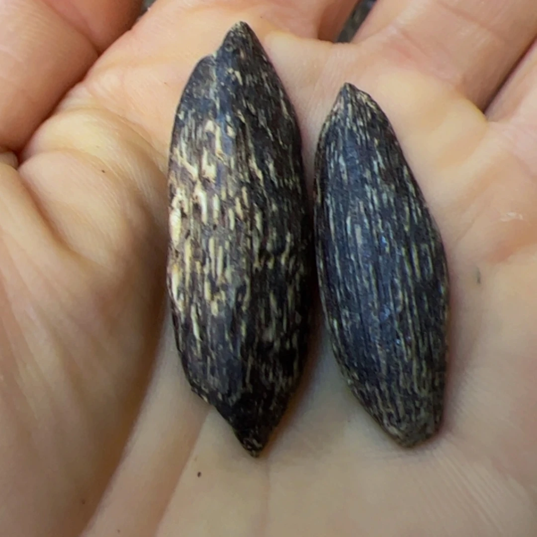 【闪购商品】沉香手把件智*海南野生沉香虫漏老料1.5克