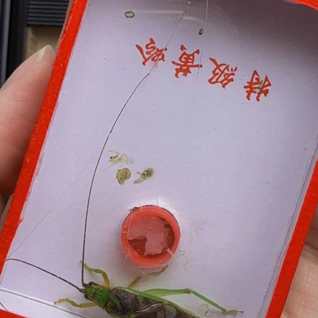 哈哈哈哈哈哈哈哈哈哈哈