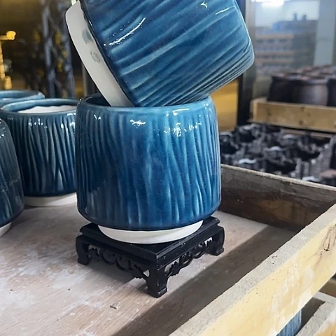 ··2盆++2个塑料托盘··