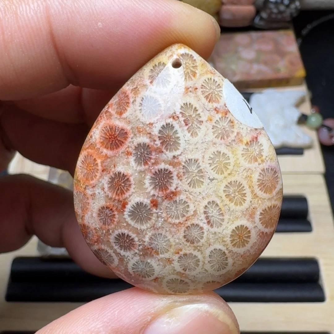 未镶嵌纯天然色有机玉石保真色硅化玉
