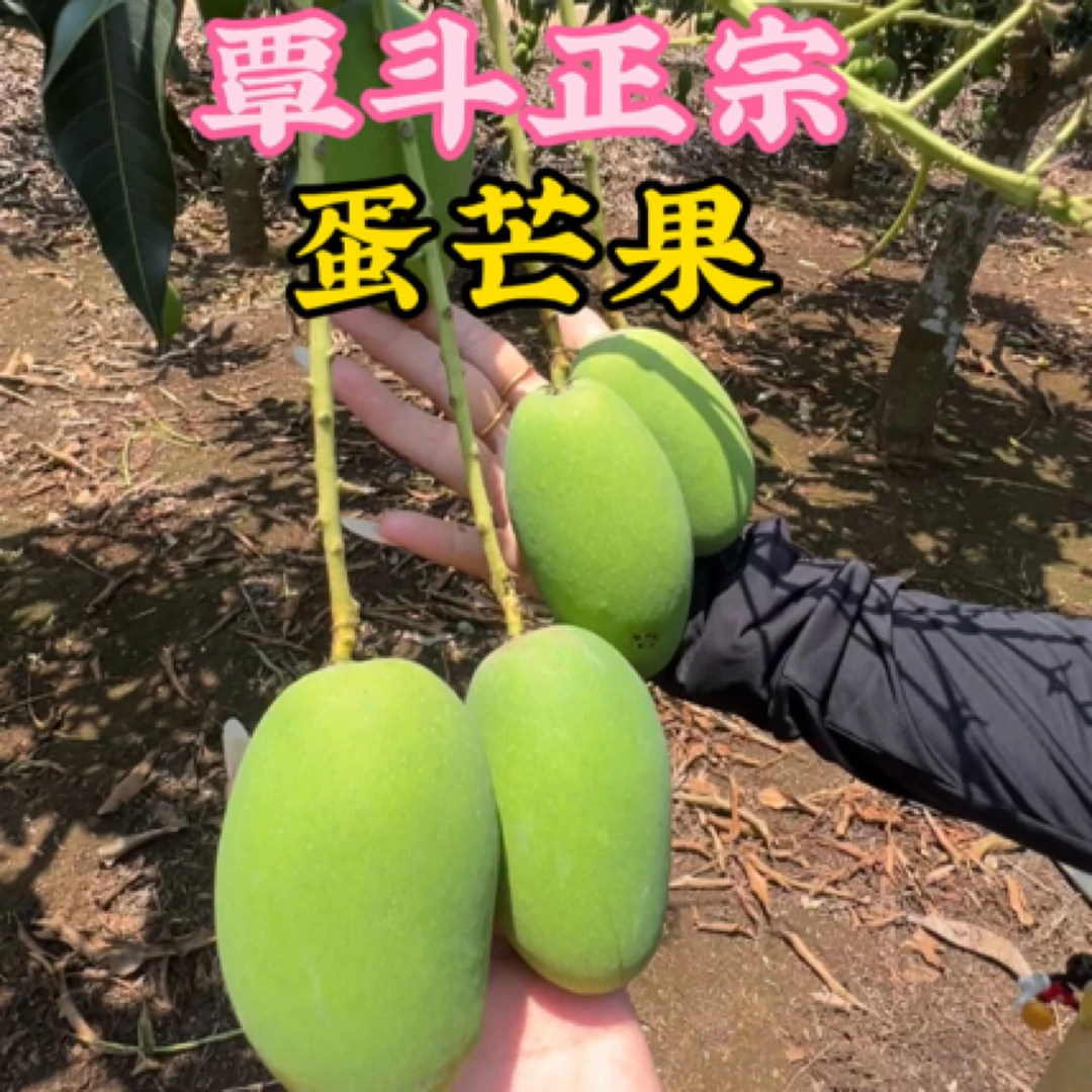 覃斗正宗鸡蛋芒果小果10斤装