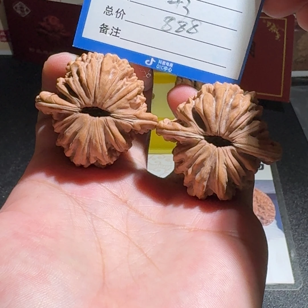 潜***壳四座楼编号885全品