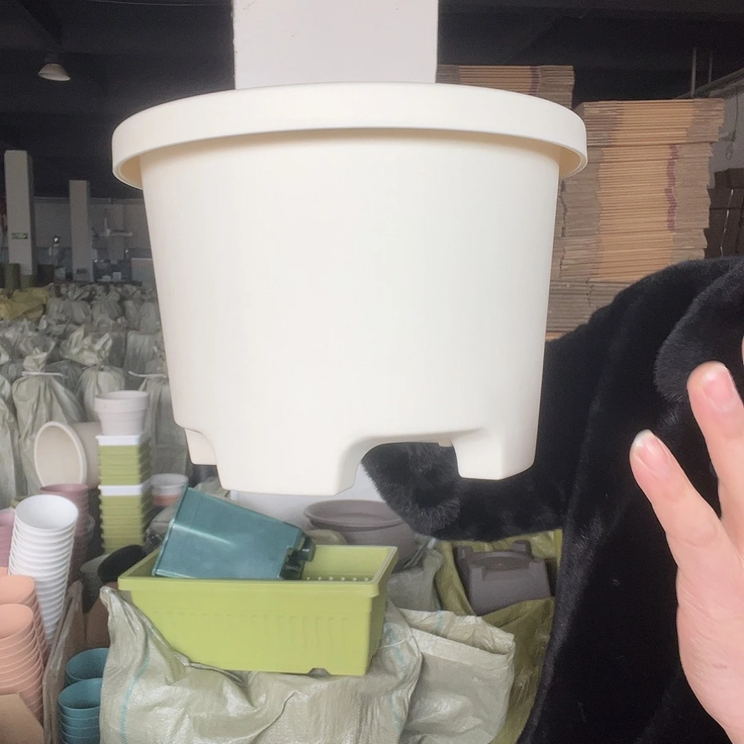 树脂球根小号米3个无托