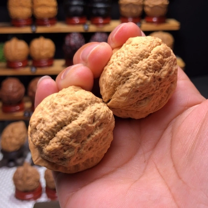 【闪购商品】饕餮10