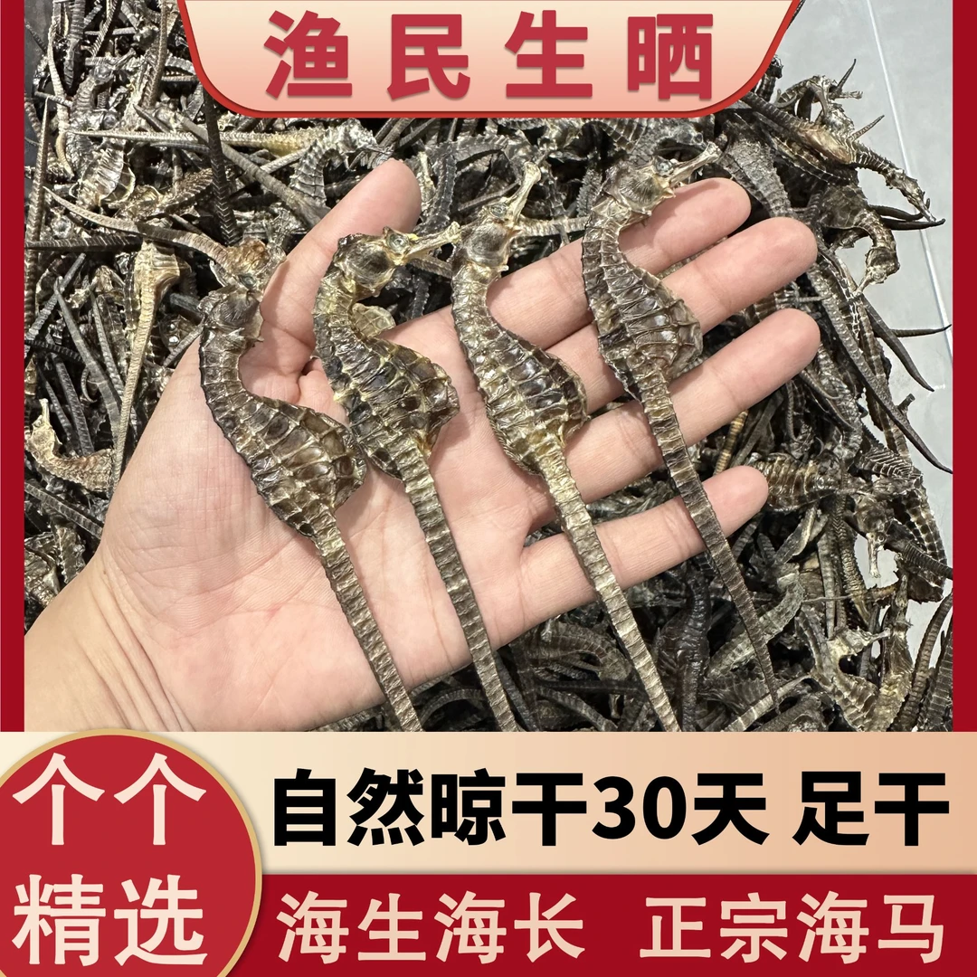 A级 正宗海马干 公母搭配 足量足干 营养煲汤泡酒专用
