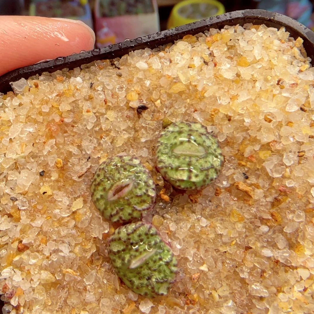 108。88888888888888888