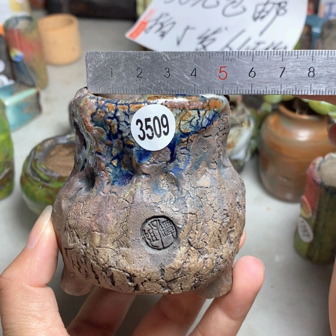 拍5送一个小礼物