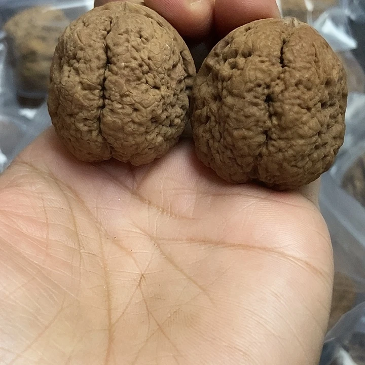 把件文玩核桃云南铁核桃基地8