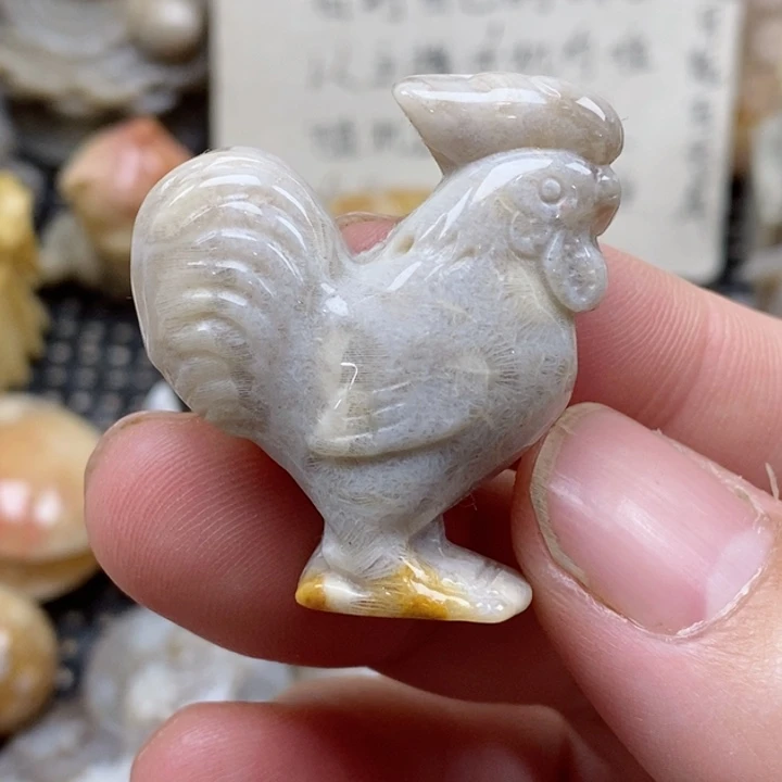 颈饰未镶嵌硅化珊瑚（珊瑚玉）小