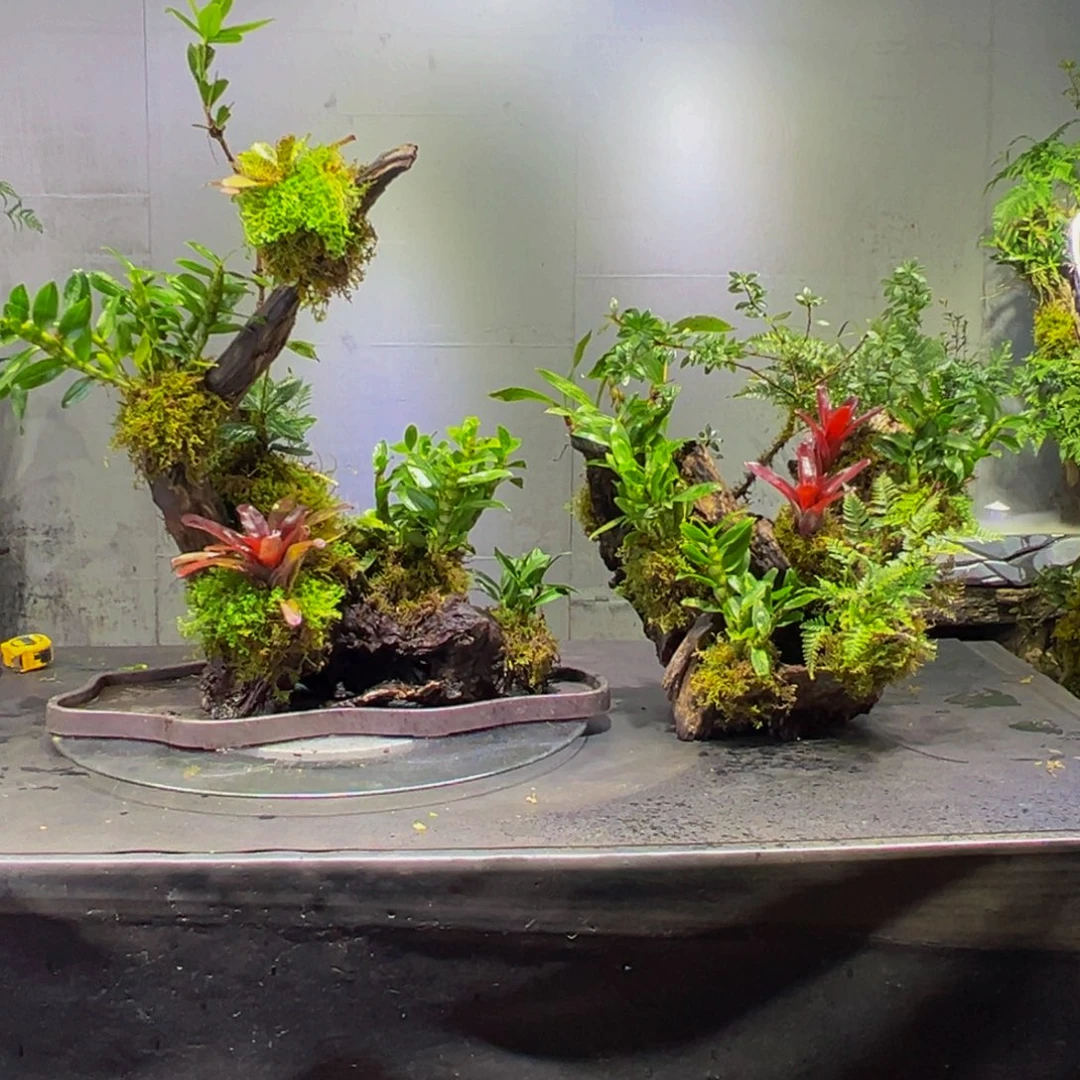 尼***业无花朵111111111111111