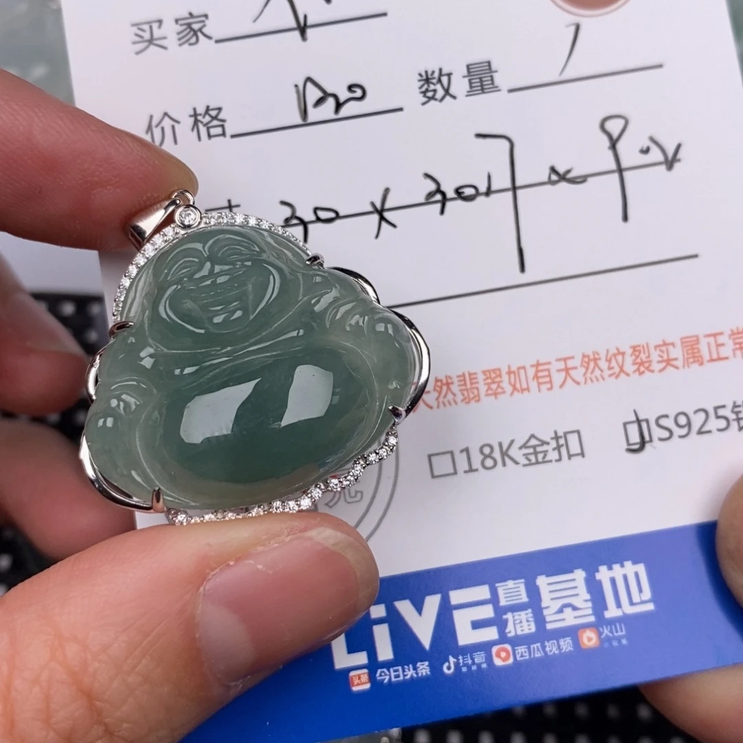 不***不翡翠银S925镶嵌颈饰