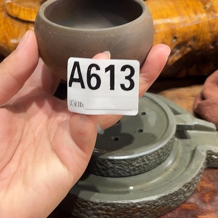 钦州柴烧坭兴陶613