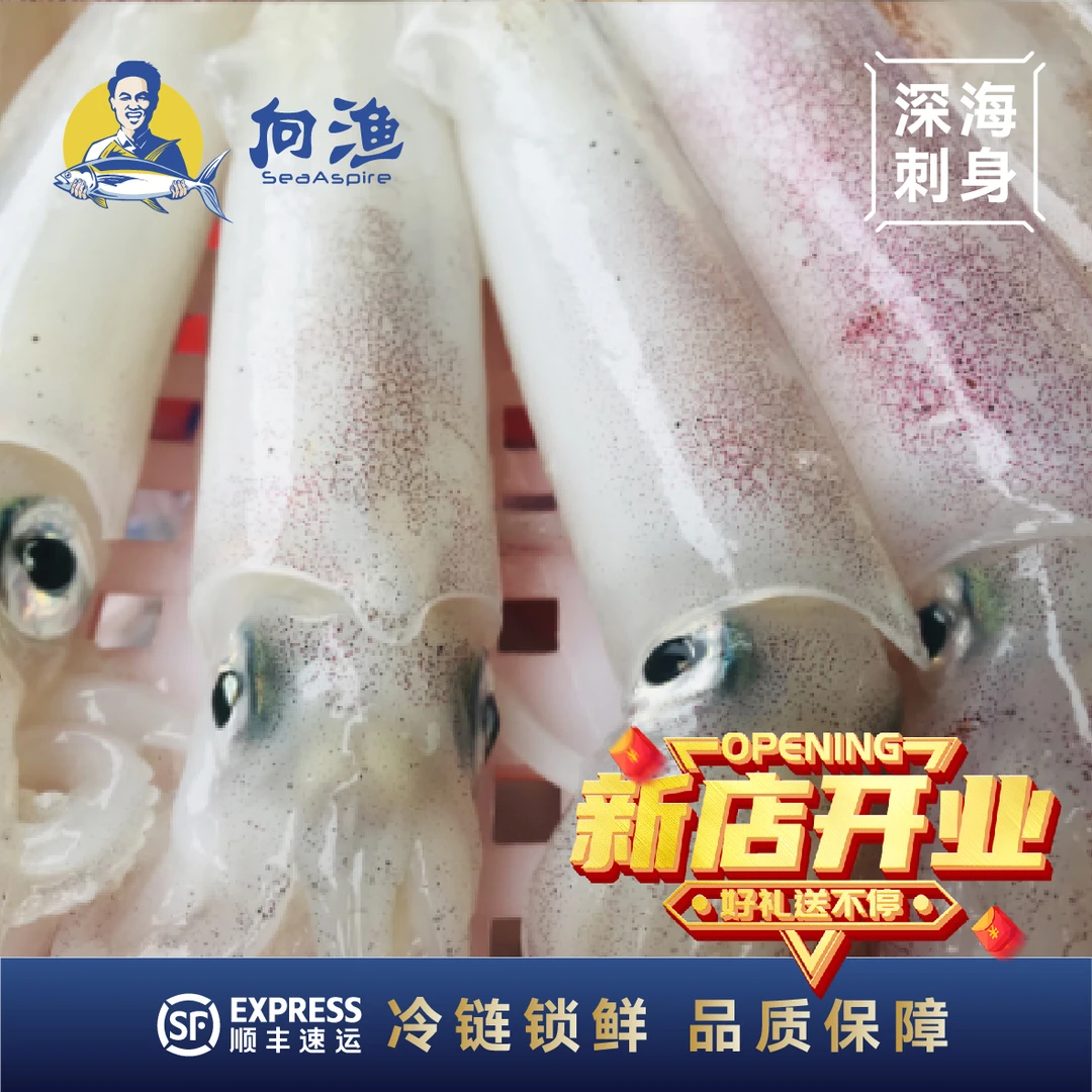 中大管鱿鱼鲜活速冻海钓鱿鱼海鲜水产烧烤火箭鱿鱼（顺丰冷链锁鲜）