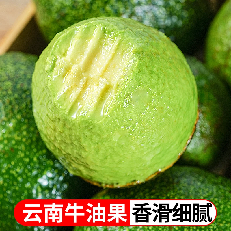 云南新鲜哈斯牛油果软糯香甜应季水果4枚6枚装100-190gTY