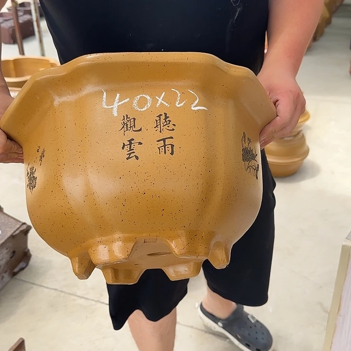 紫砂花盆这是我第一